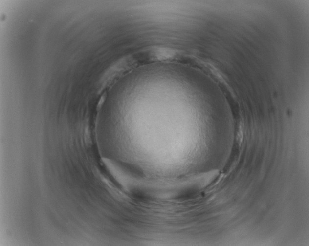 X0000058830524200510031350