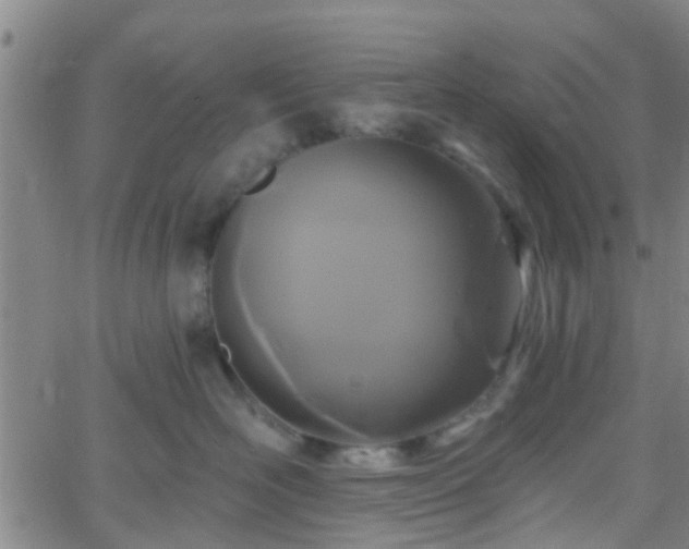 X0000058830526200510031350