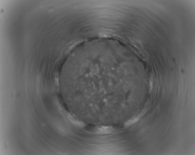 X0000058830527200510031350