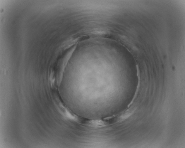 X0000058830528200510031350