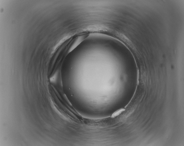 X0000058830530200510031349