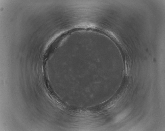 X0000058830531200510031349