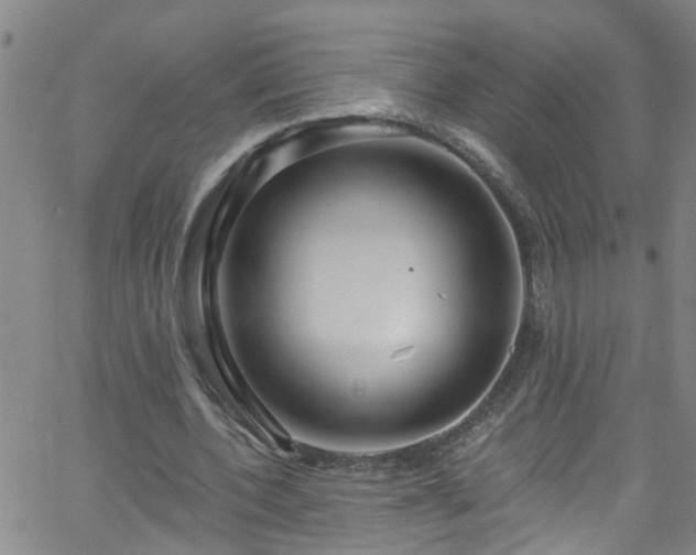 X0000058830532200510031349