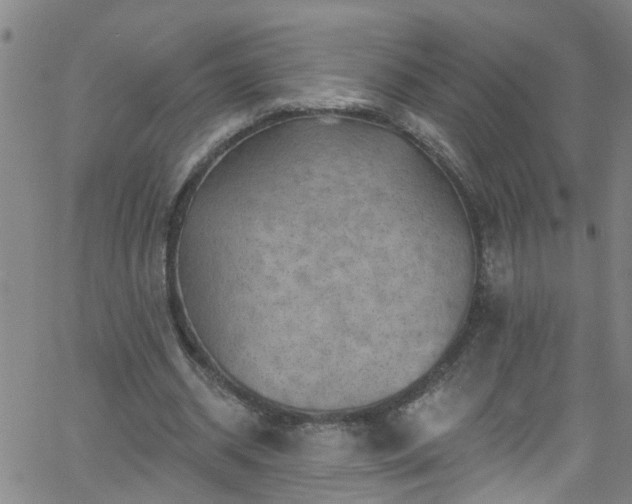 X0000058830534200510031349