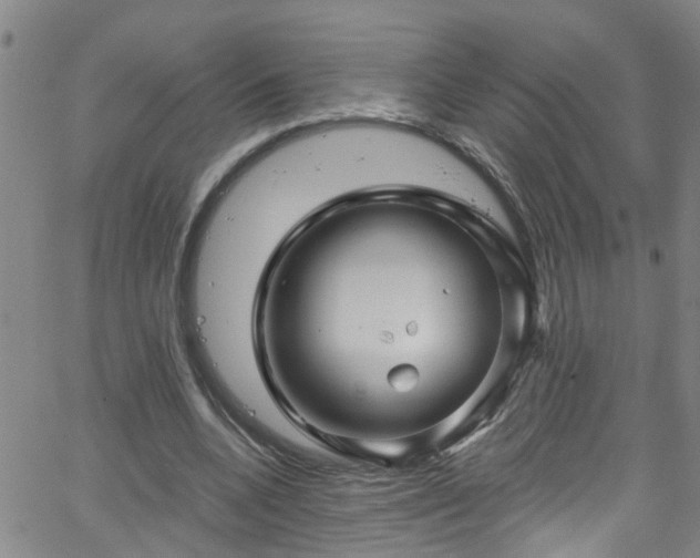 X0000058830536200510031349