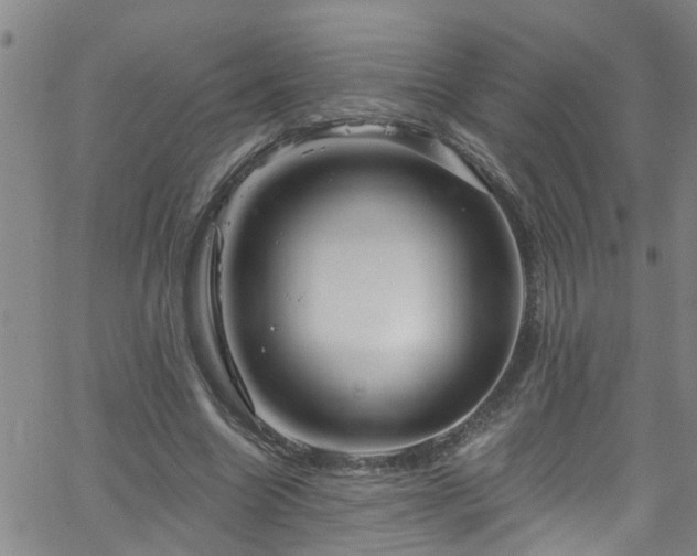 X0000058830538200510031349