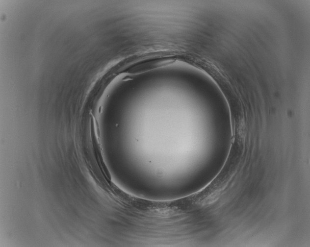 X0000058830540200510031349