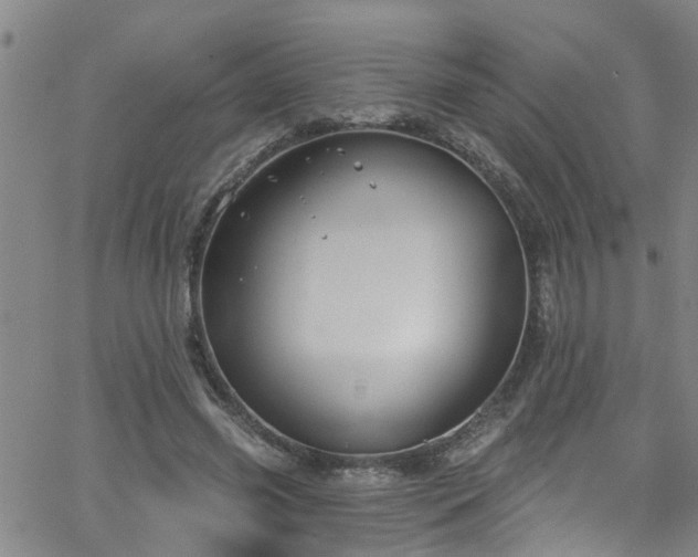 X0000058830541200510031349