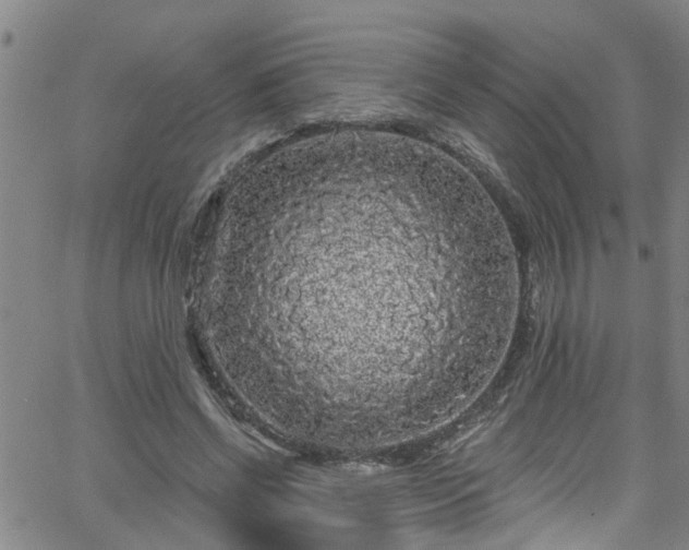 X0000058830542200510031349