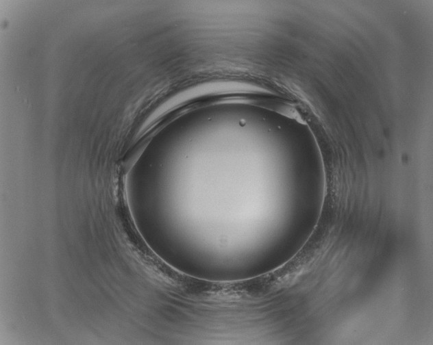 X0000058830545200510031349