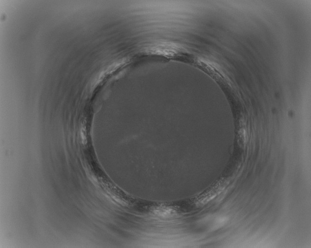 X0000058830547200510031349