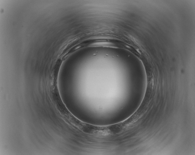 X0000058830548200510031349