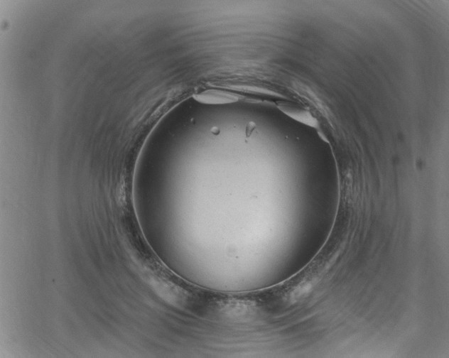 X0000058830549200510031349