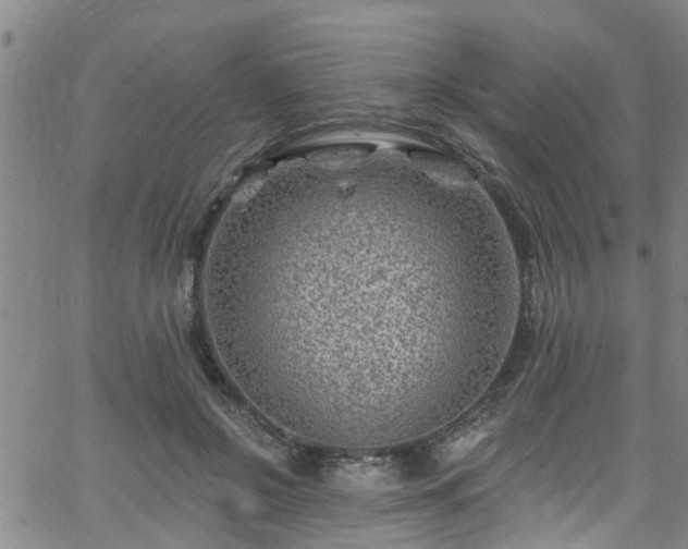 X0000058830550200510031349