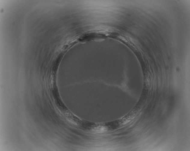 X0000058830551200510031349