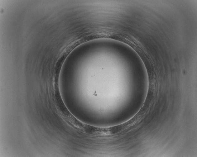 X0000058830552200510031349