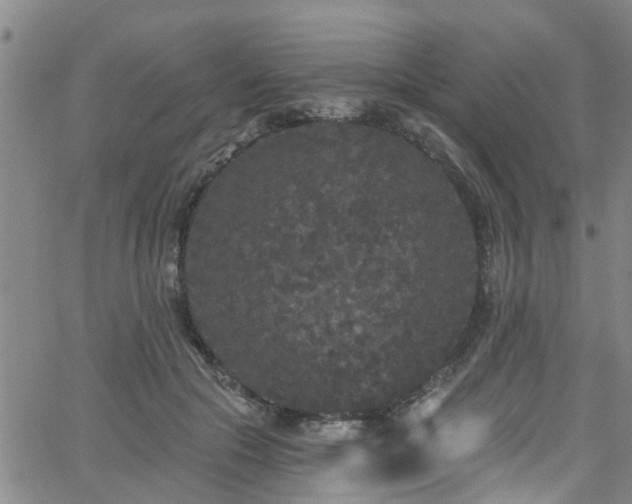 X0000058830553200510031349