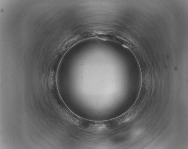 X0000058830554200510031349