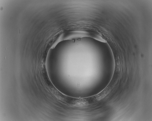 X0000058830555200510031349