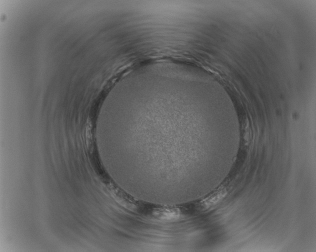 X0000058830559200510031349