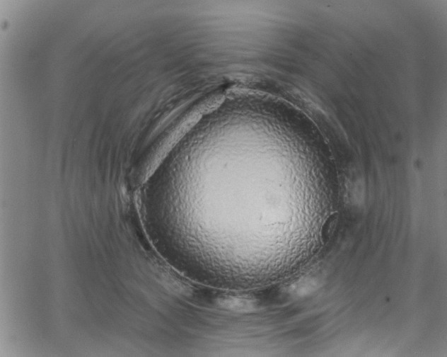 X0000058830561200510031349