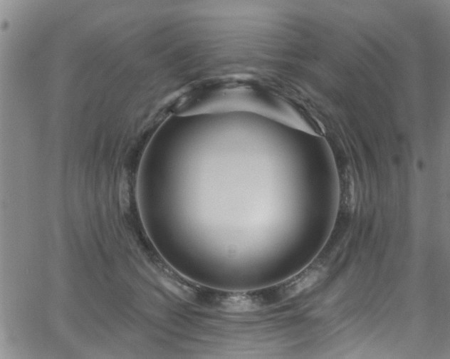 X0000058830562200510031350