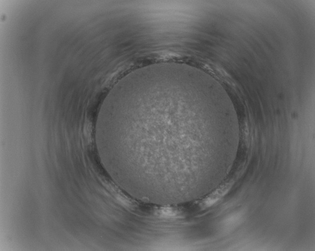 X0000058830565200510031350