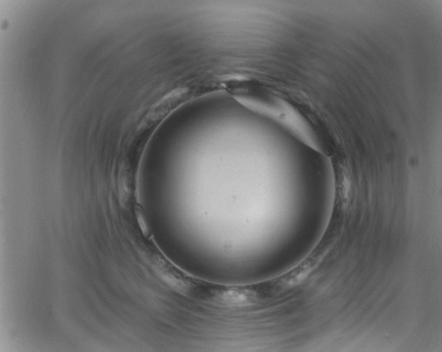 X0000058830566200510031350