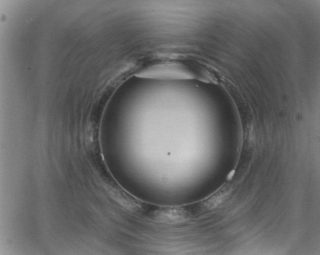 X0000058830567200510031350