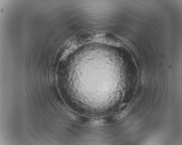 X0000058830569200510031350