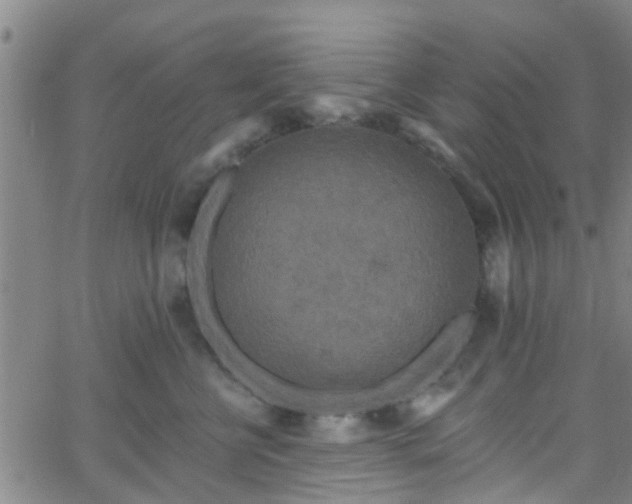 X0000058830570200510031350