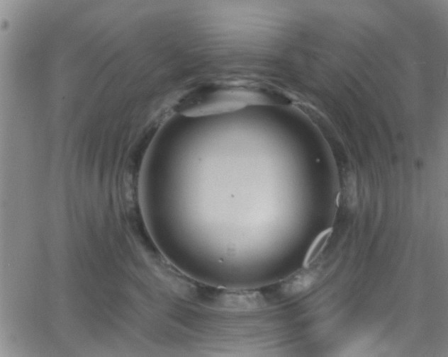 X0000058830571200510031350