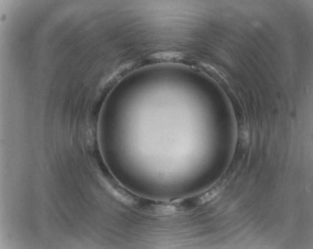 X0000058830572200510031350