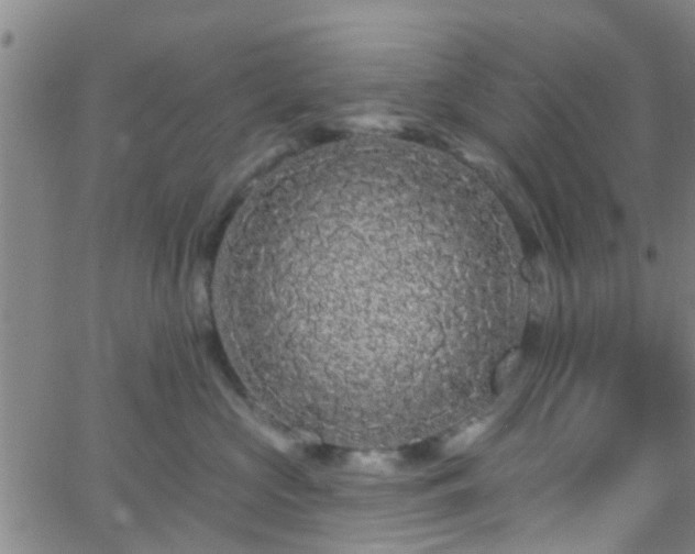 X0000058830573200510031350