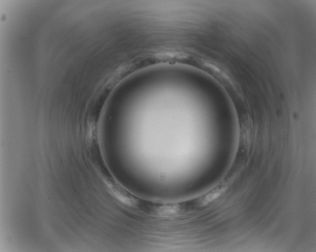 X0000058830574200510031350