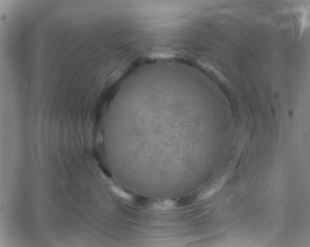 X0000058830576200510031350