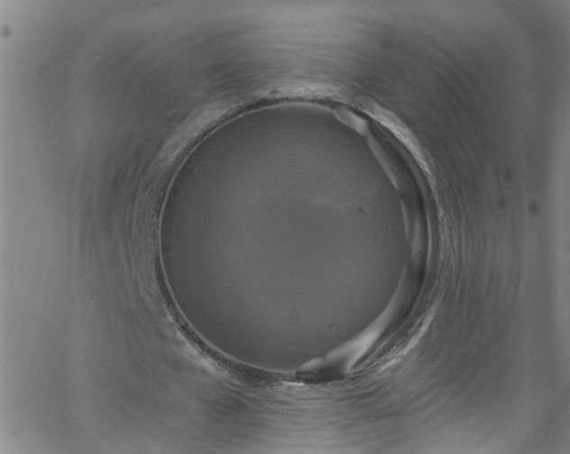 X0000058830577200510031349