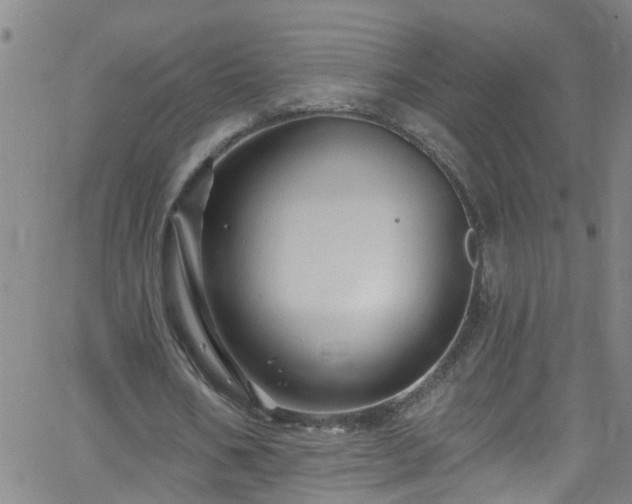 X0000058830578200510031349