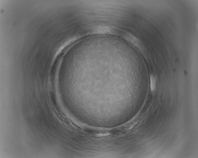 X0000058830579200510031349