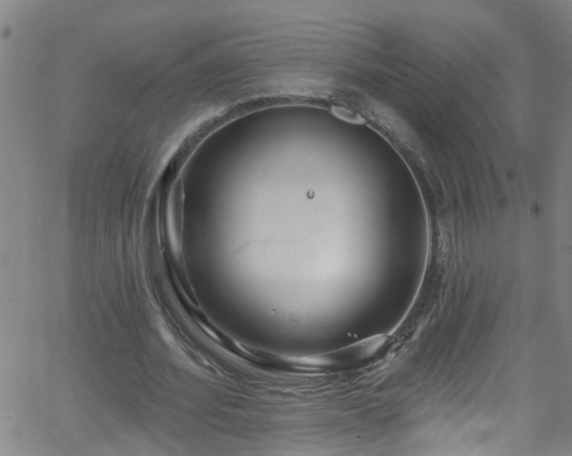 X0000058830580200510031349