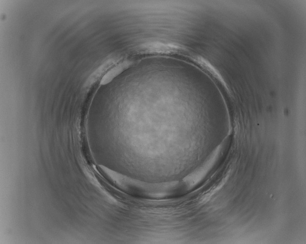 X0000058830581200510031349