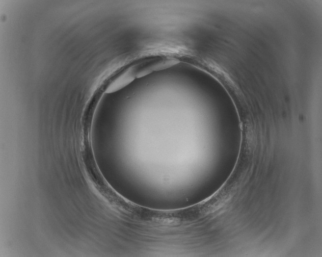 X0000058830582200510031349