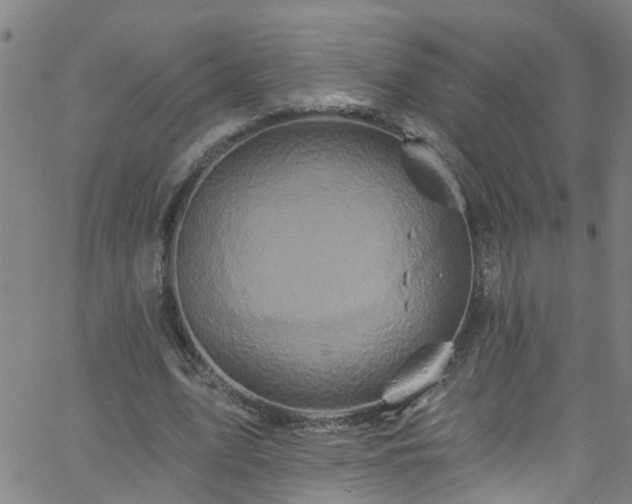 X0000058830583200510031349