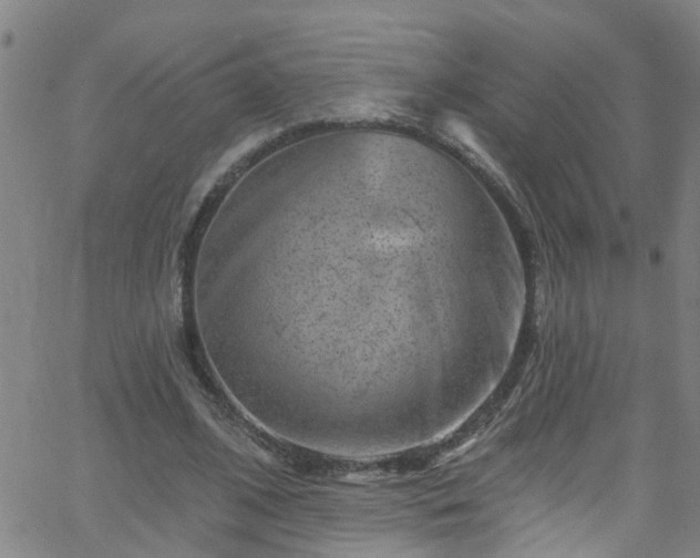 X0000058830584200510031349