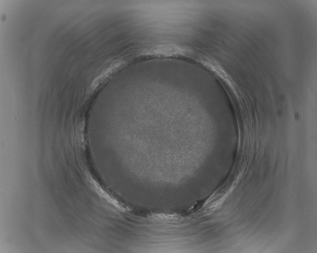 X0000058830585200510031349