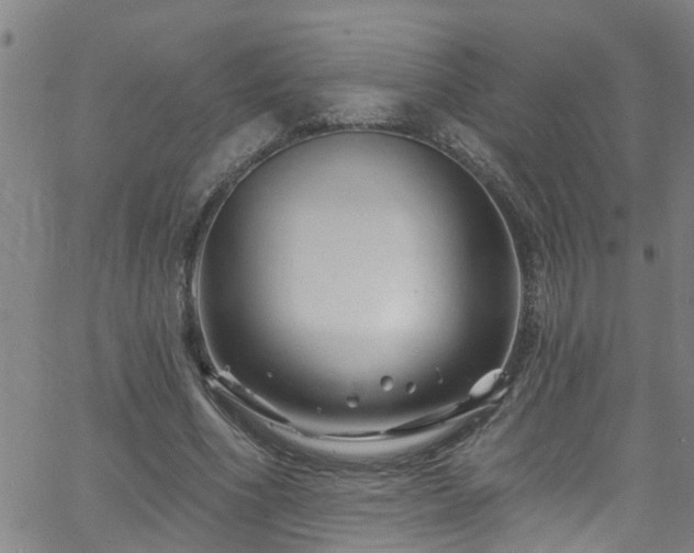 X0000058830586200510031349