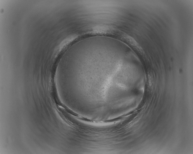 X0000058830588200510031349