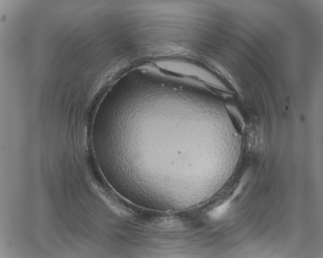 X0000058830589200510031349