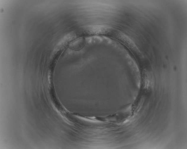 X0000058830590200510031349