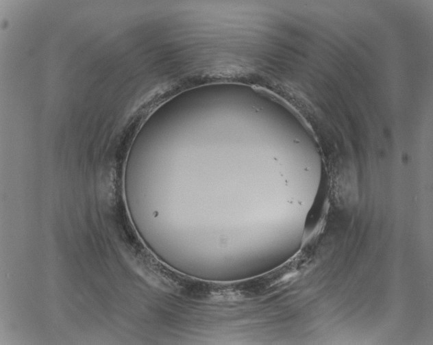 X0000058830591200510031349